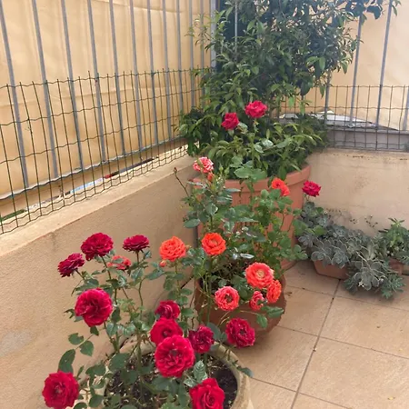 Casa Orchidea Apartment *