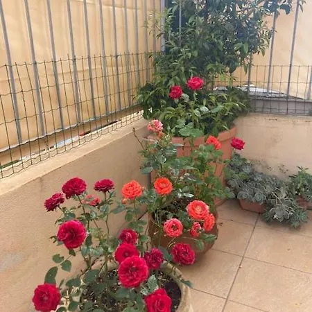 Apartment Casa Orchidea Olbia